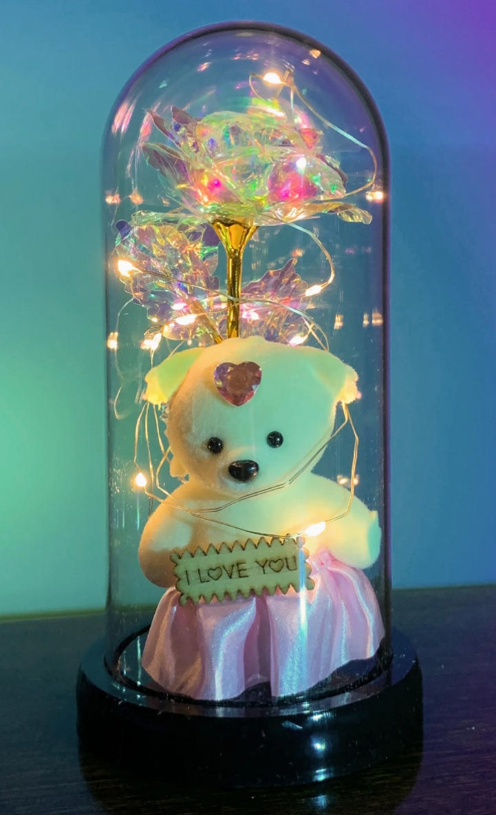 Teddy Bear Galaxy Rose Glass Dome Led Light