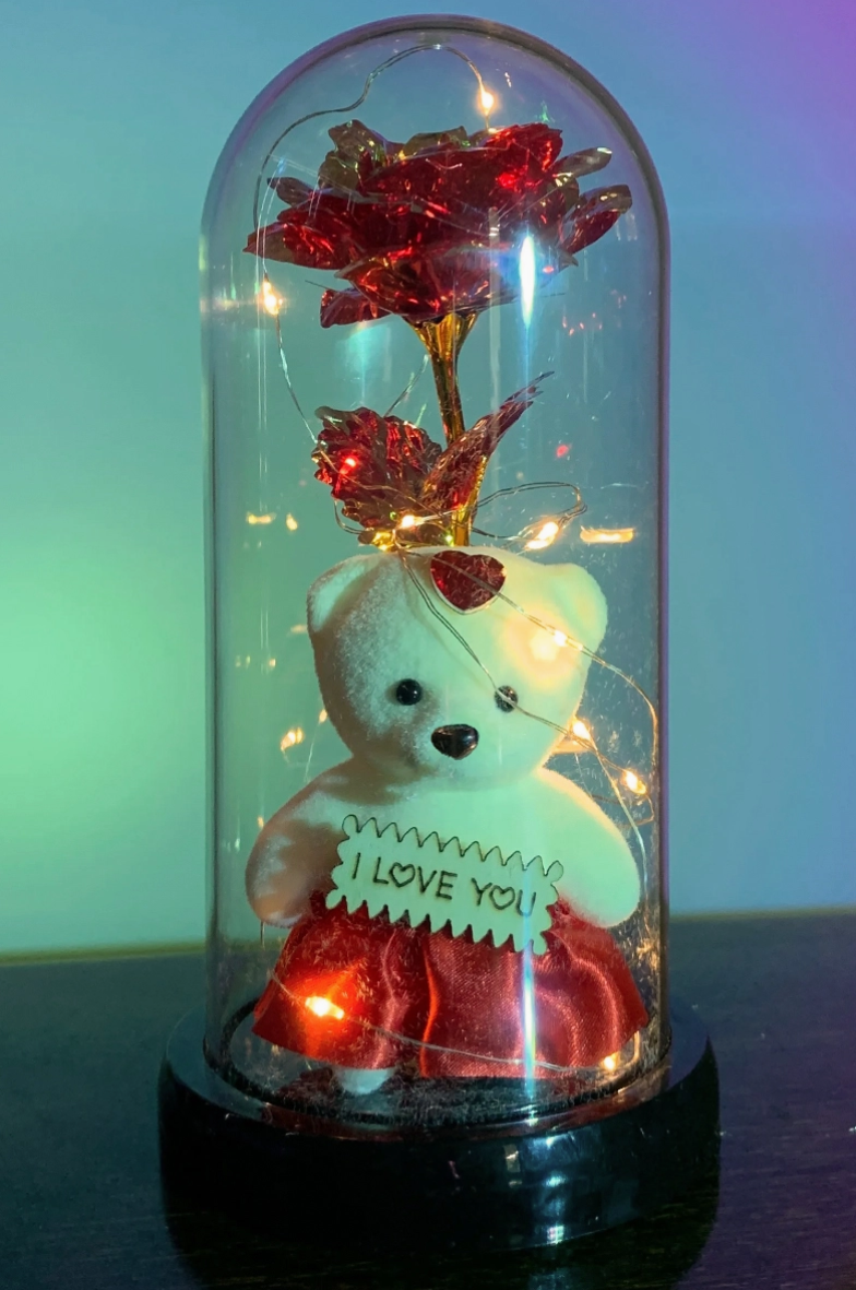 Teddy Bear Galaxy Rose Glass Dome Led Light